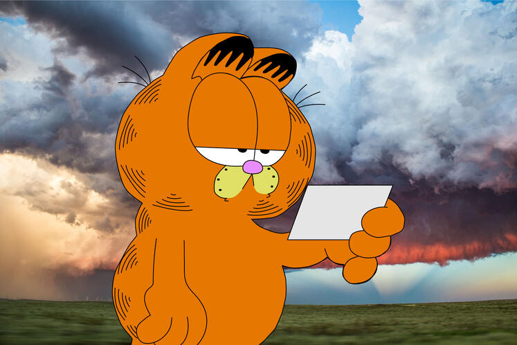 garfield - illustrator and photoshop